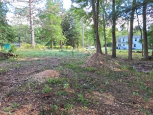 Amherst Property Management clearing brush